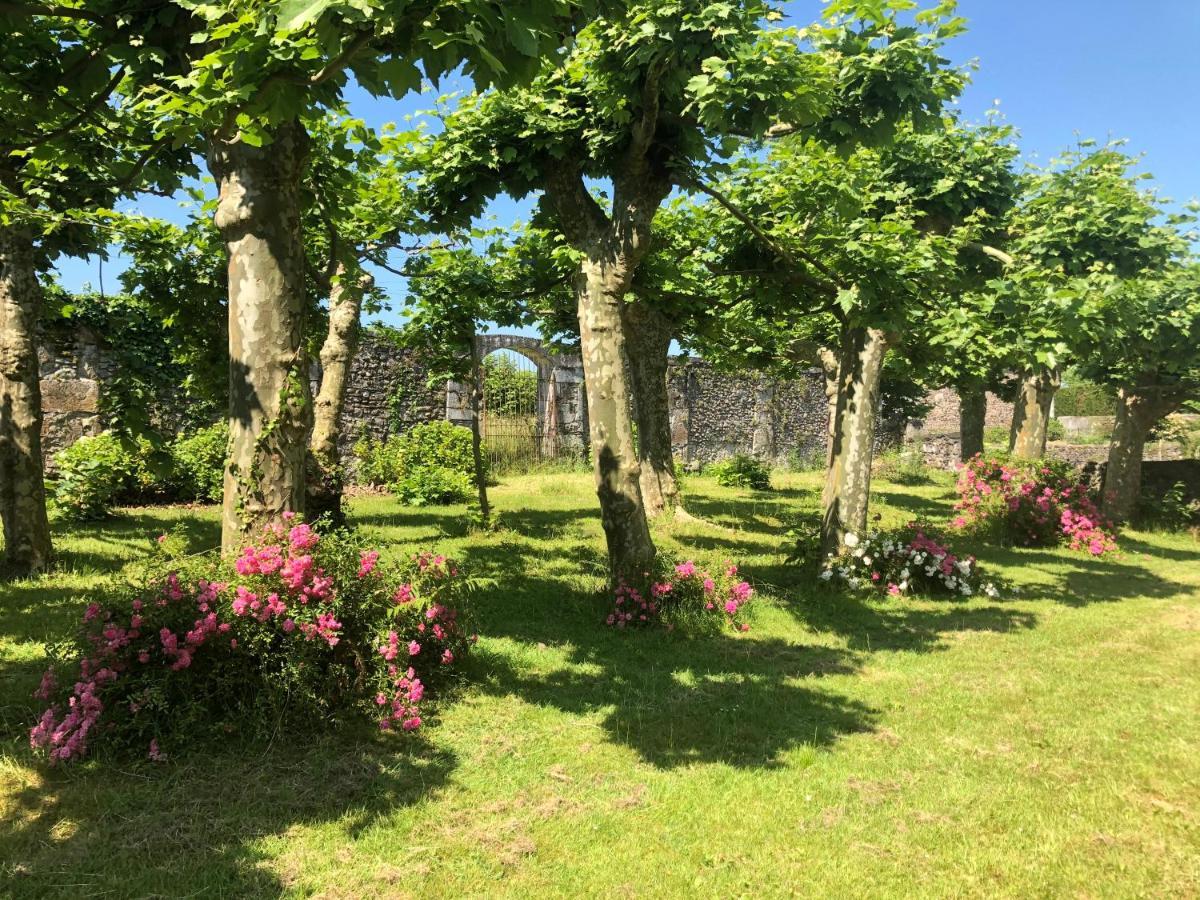 Chateau Porthos Tranquillite Des Pyrenees Lanne-en-Baretous Экстерьер фото